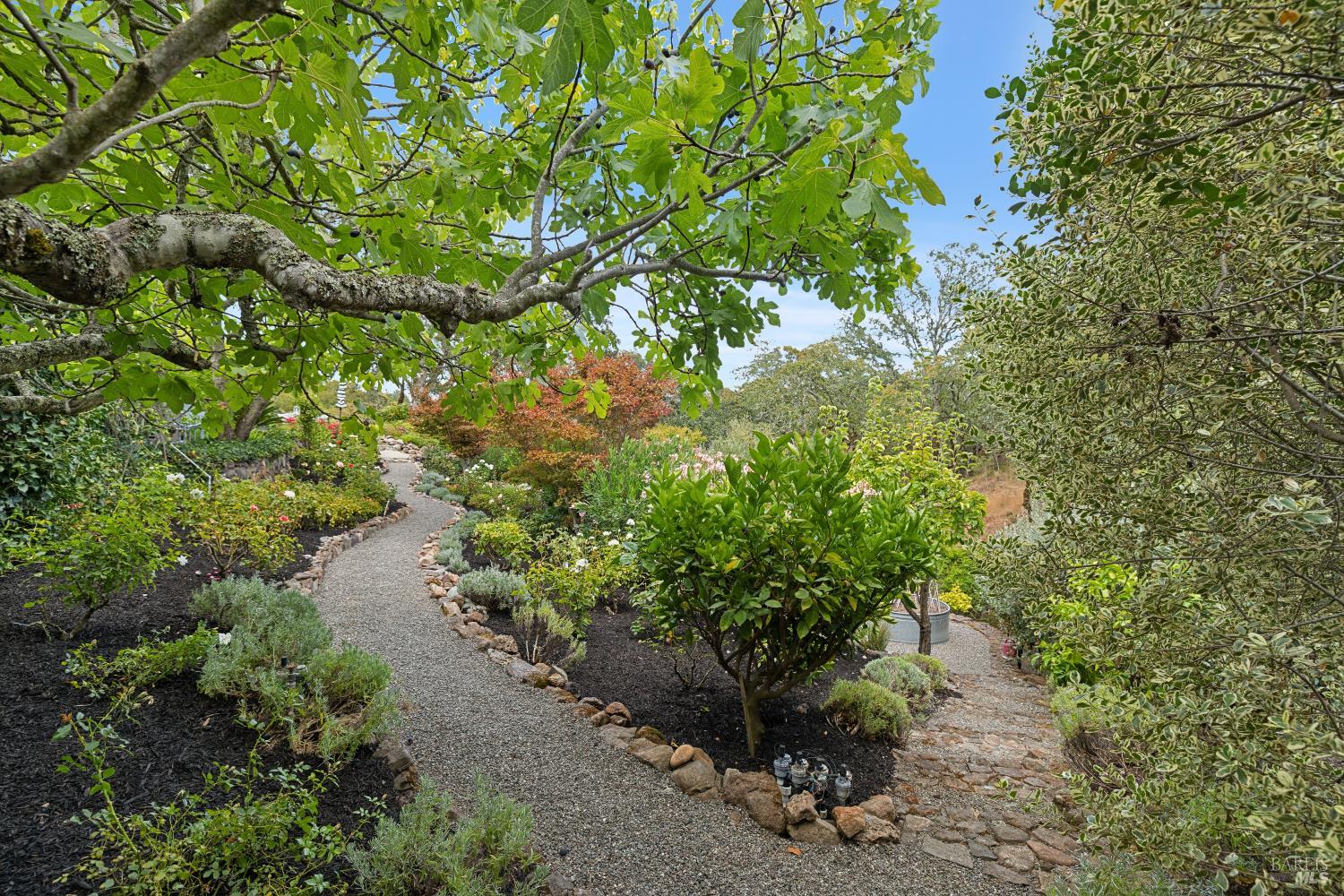 1811 Katie Lane Sonoma CA 95476