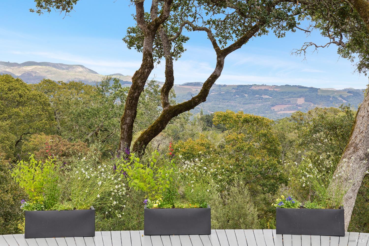 1811 Katie Lane Sonoma CA 95476