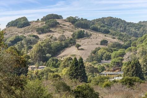 31 Knight Drive San Rafael CA 94901