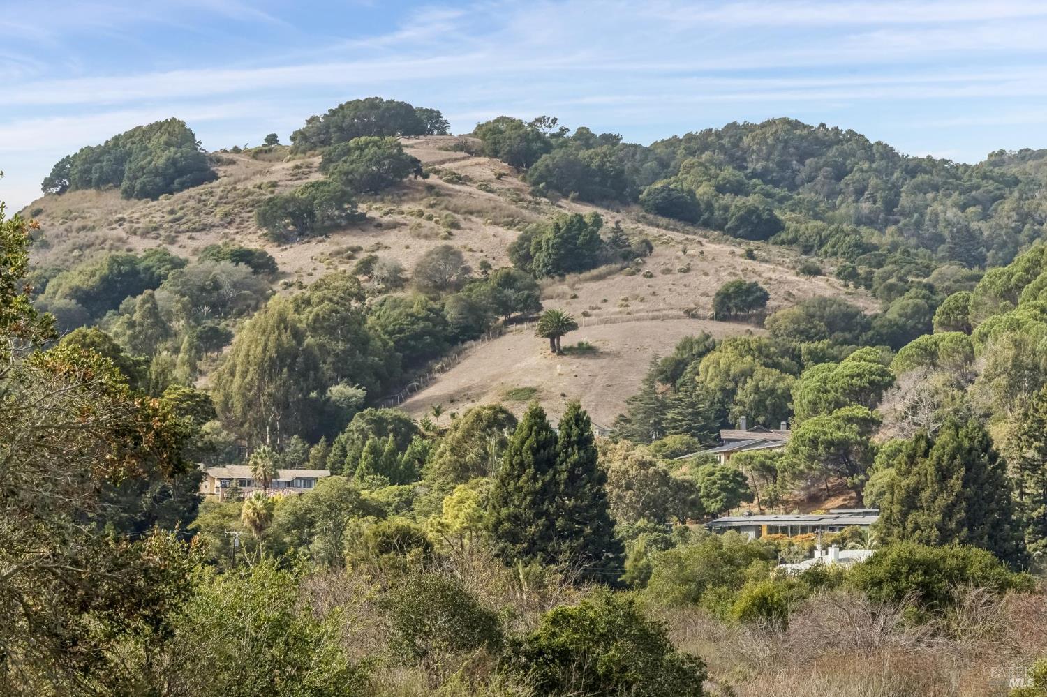 31 Knight Drive San Rafael CA 94901