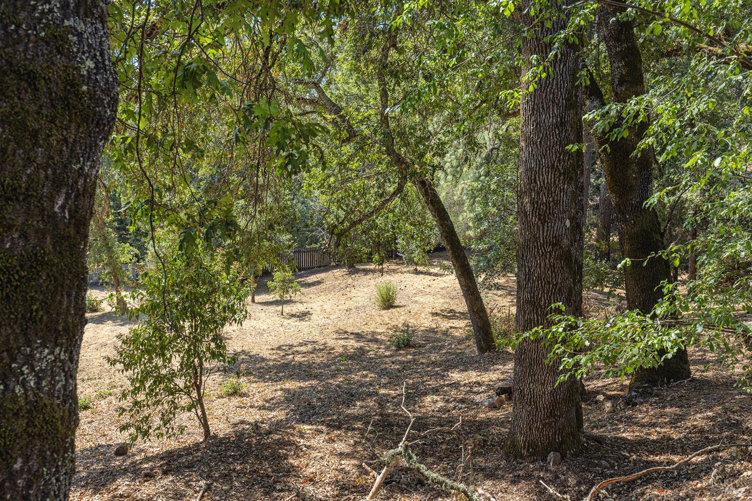 525 Keyes Avenue Angwin CA 94508