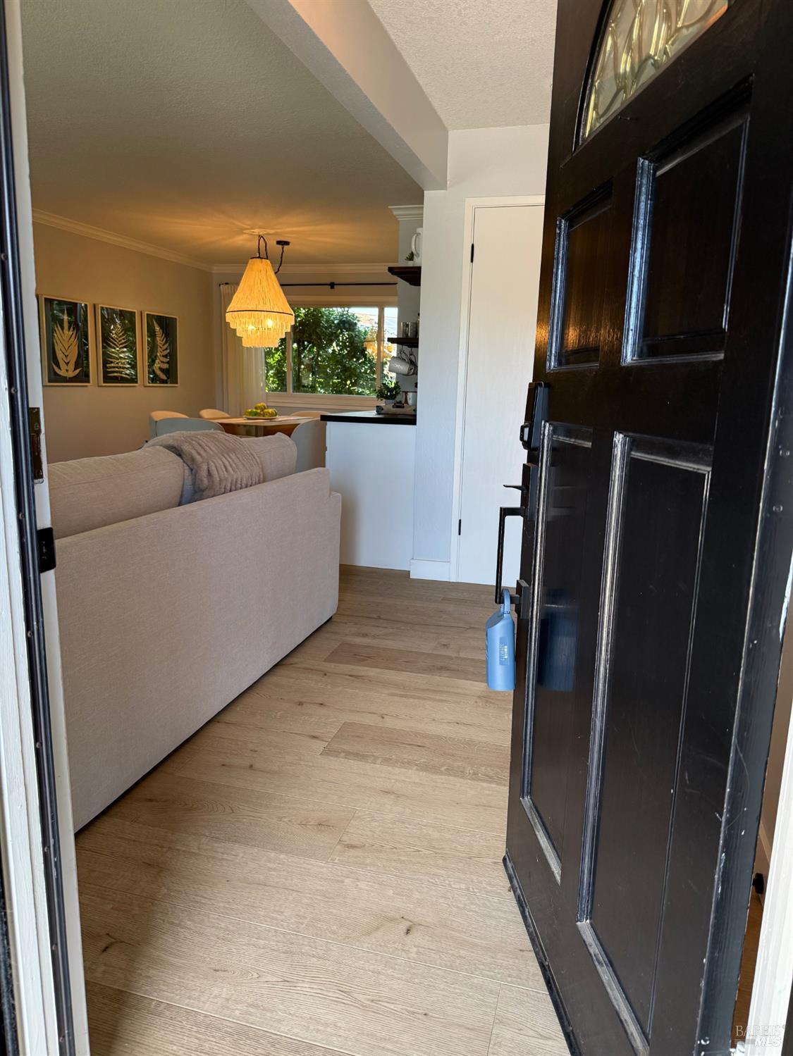 455 Donner Court Petaluma CA 94954