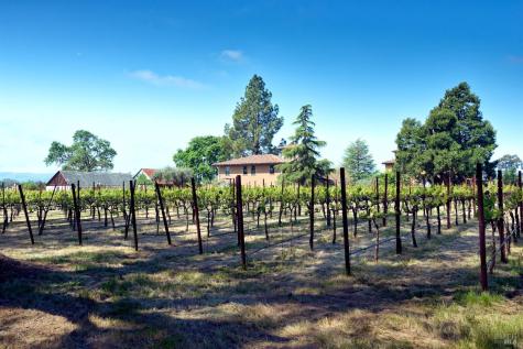 21000 8th Street E Sonoma CA 95476