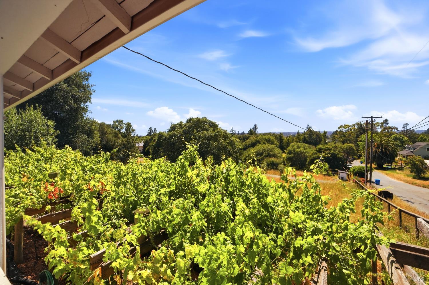 7695 Atkinson Road Sebastopol CA 95472