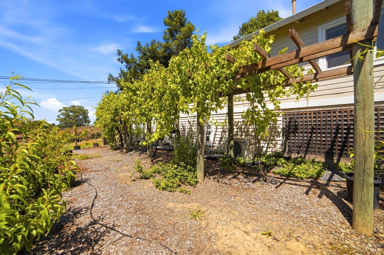 7695 Atkinson Road Sebastopol CA 95472