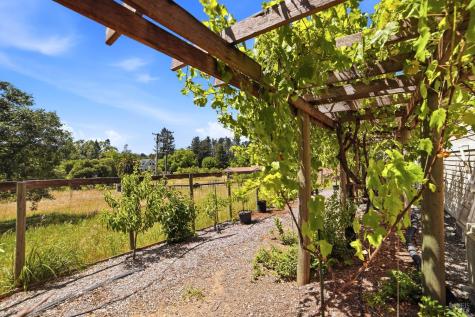 7695 Atkinson Road Sebastopol CA 95472