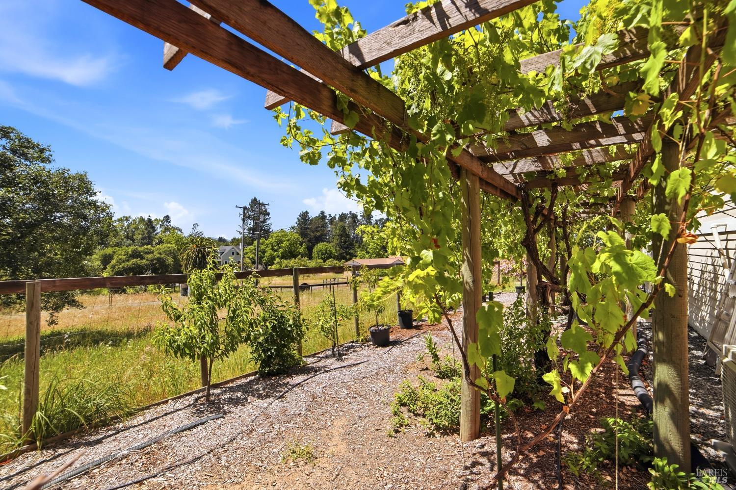 7695 Atkinson Road Sebastopol CA 95472