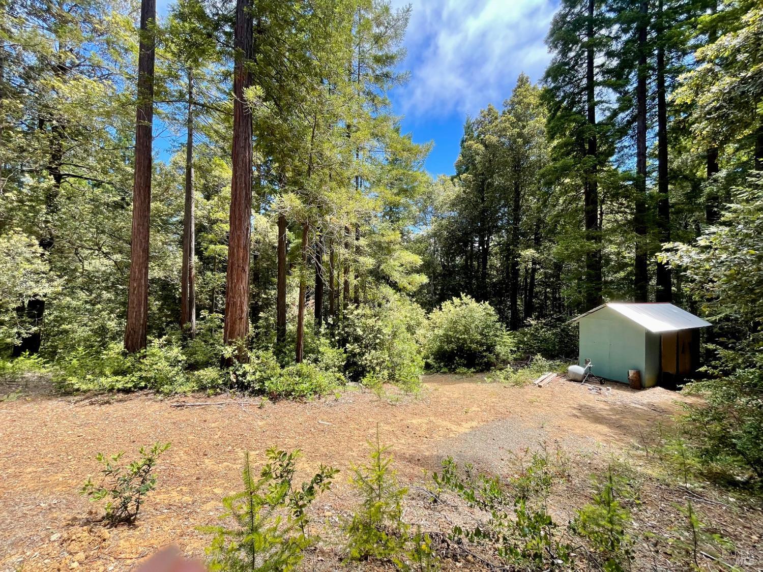 29905 Ten Mile Cut Off Road Gualala CA 95445