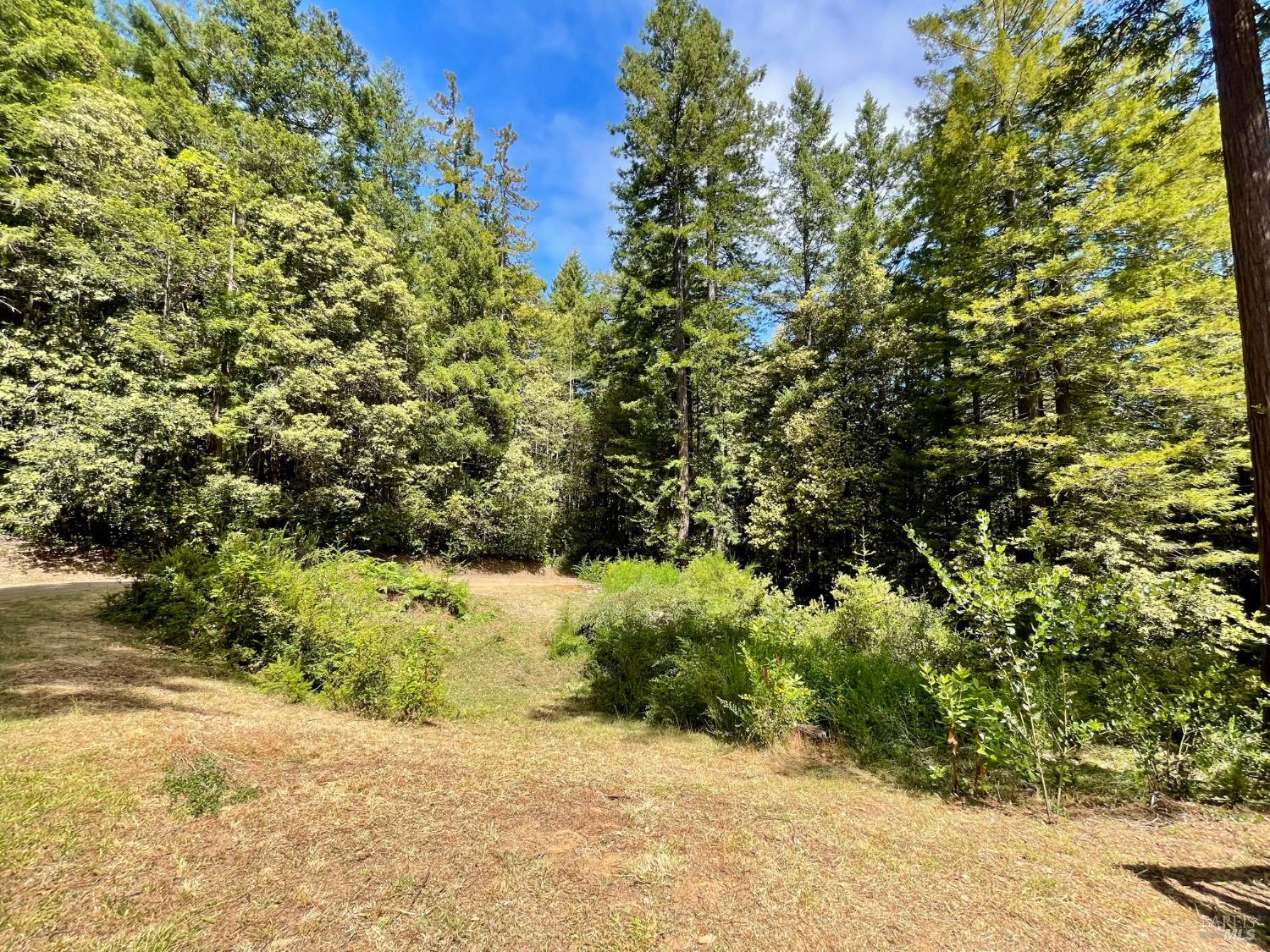 29905 Ten Mile Cut Off Road Gualala CA 95445