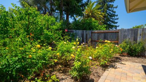 101 Meriam Drive San Rafael CA 94903