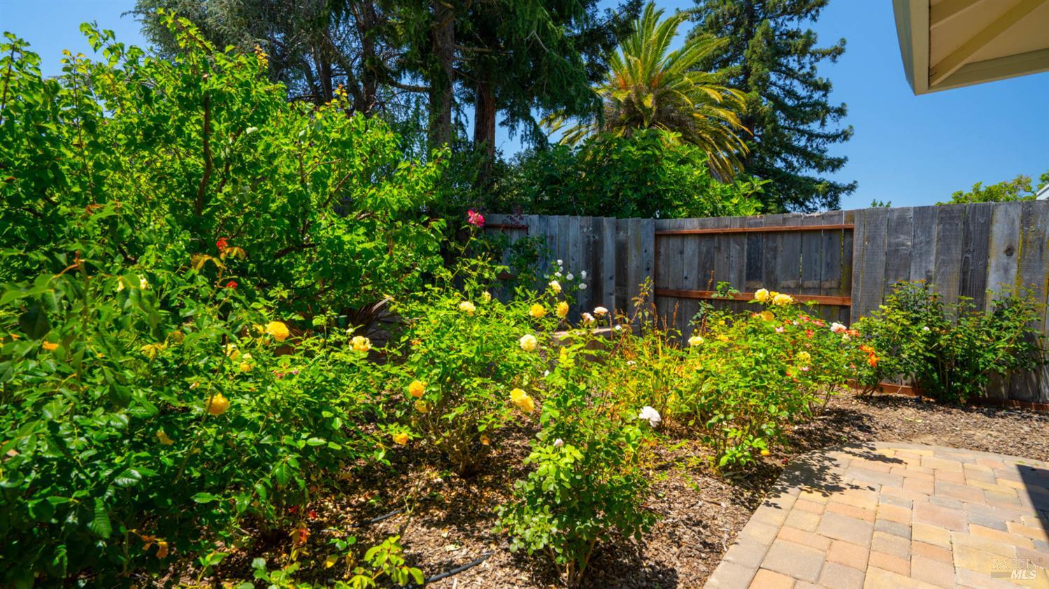 101 Meriam Drive San Rafael CA 94903