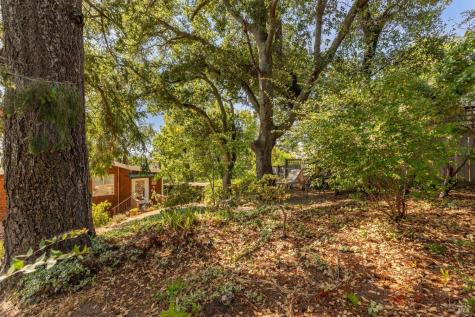 569 Sequoia Drive San Anselmo CA 94960