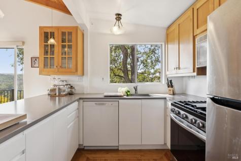 569 Sequoia Drive San Anselmo CA 94960