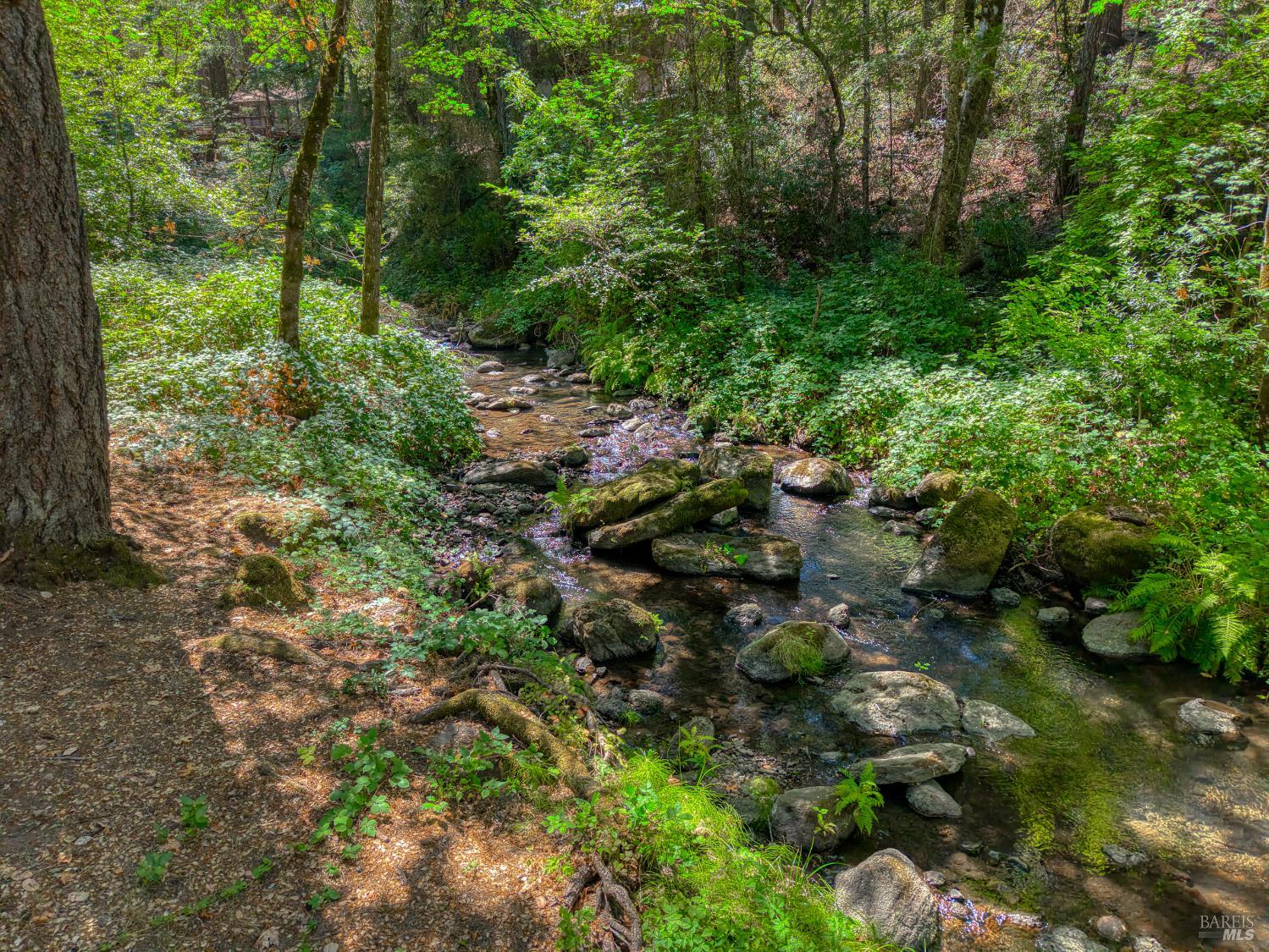 15785 Rainbow Drive Cobb CA 95426