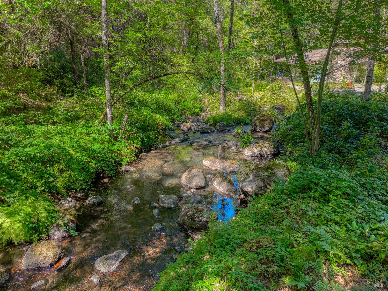 15785 Rainbow Drive Cobb CA 95426