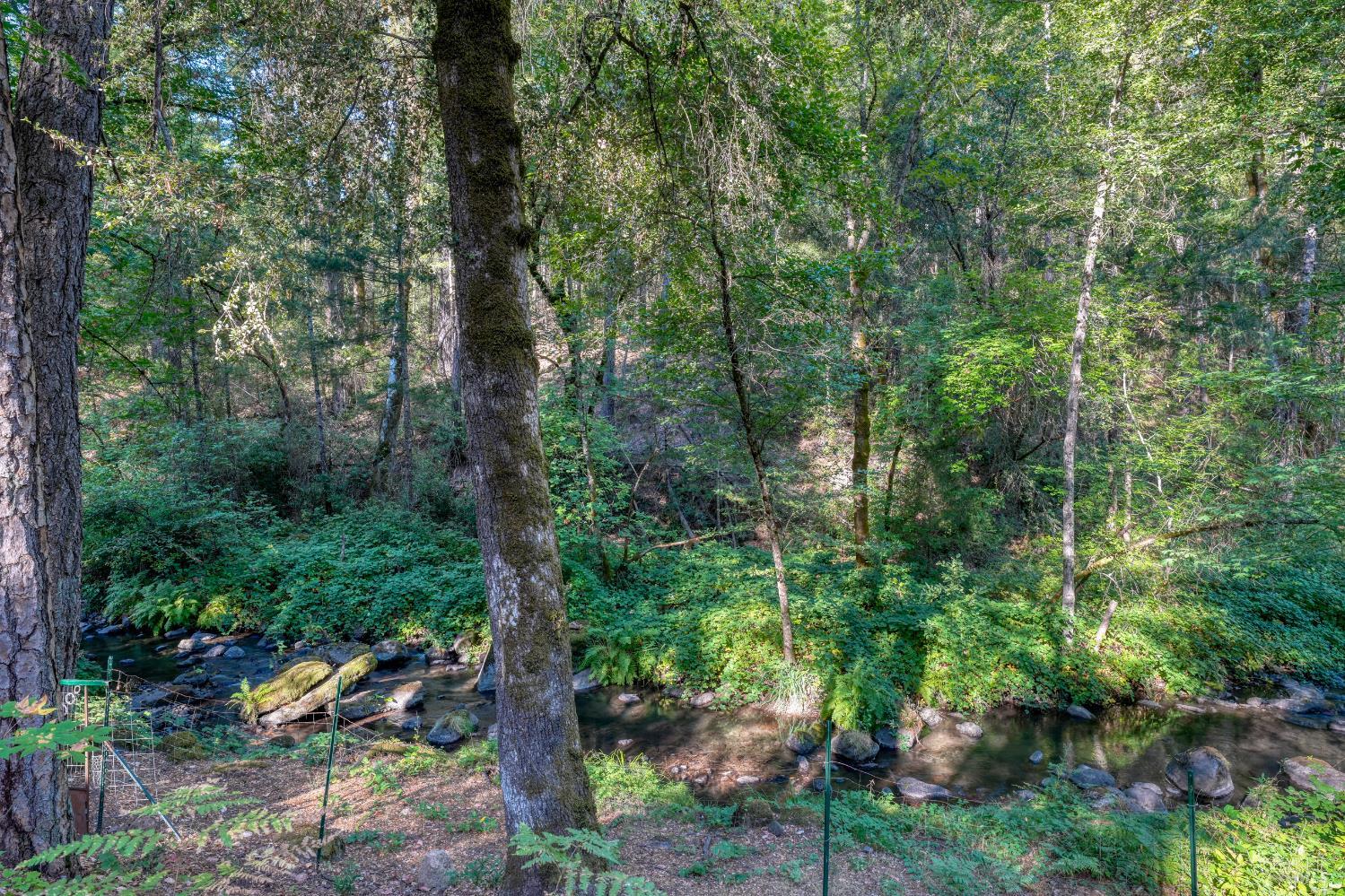 15785 Rainbow Drive Cobb CA 95426