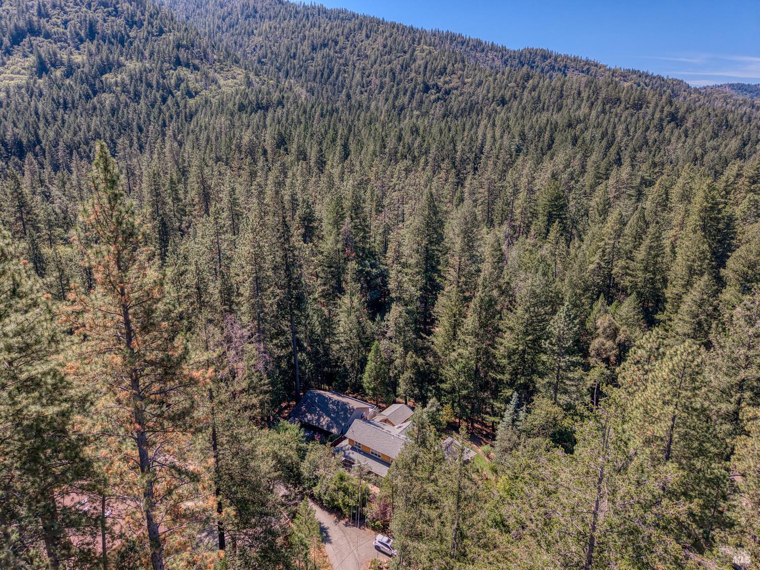 15785 Rainbow Drive Cobb CA 95426