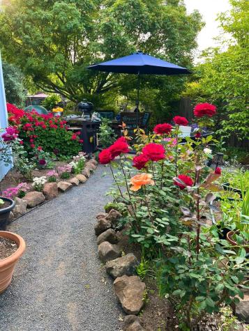 4604 Parktrail Court Santa Rosa CA 95405