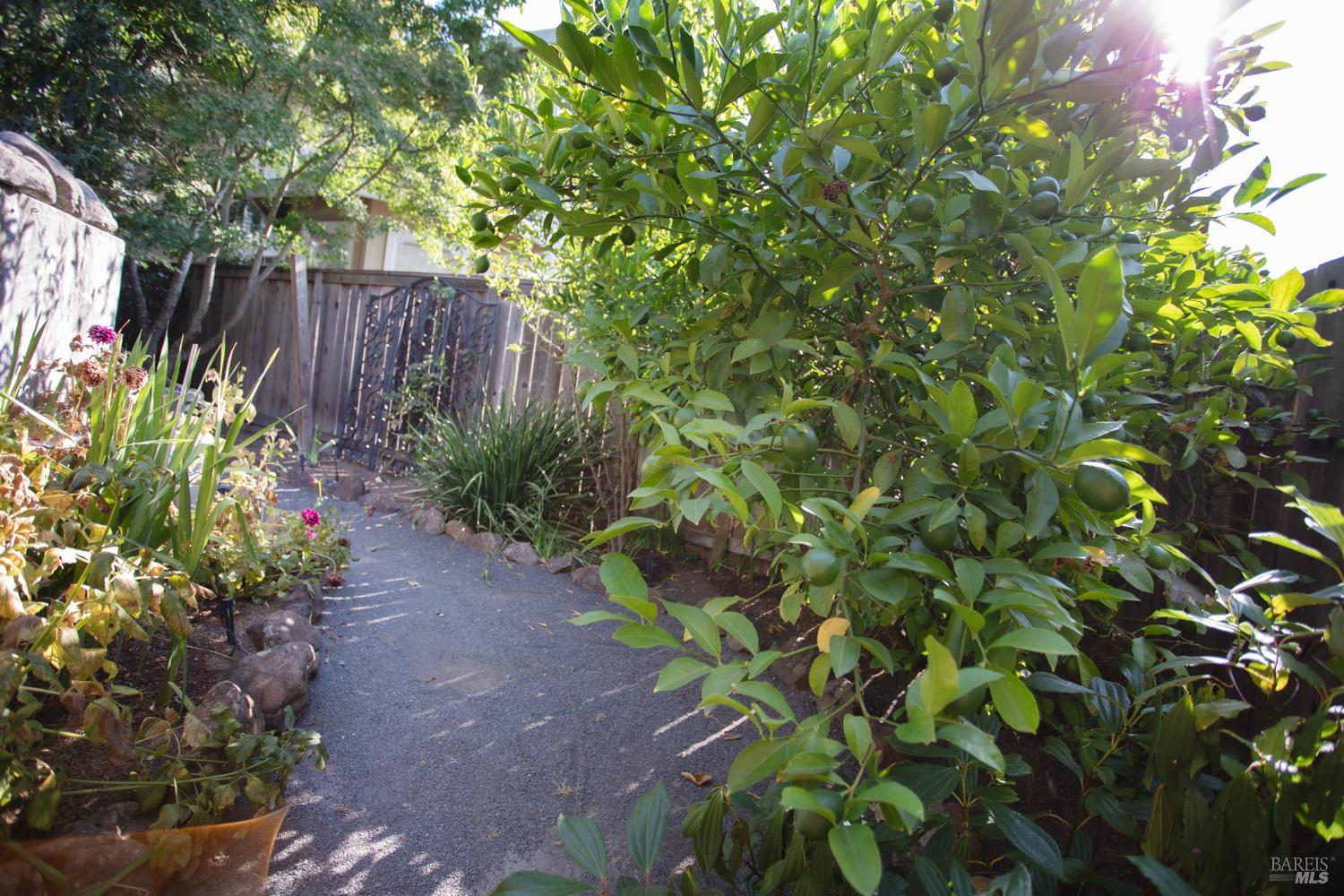 4604 Parktrail Court Santa Rosa CA 95405