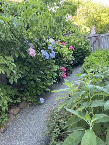 4604 Parktrail Court Santa Rosa CA 95405