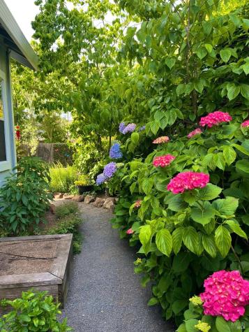 4604 Parktrail Court Santa Rosa CA 95405