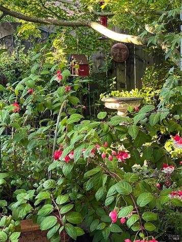 4604 Parktrail Court Santa Rosa CA 95405