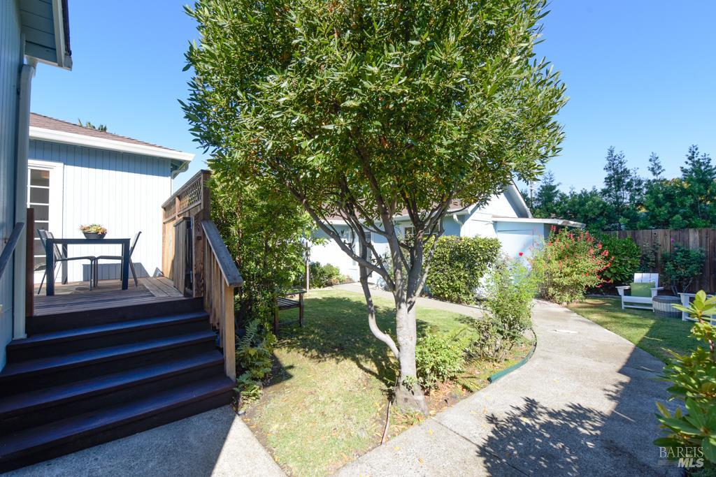 37 Meadow Avenue San Rafael CA 94901