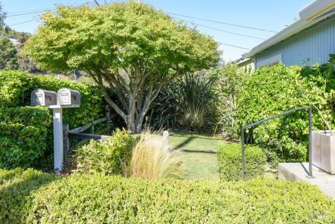 37 Meadow Avenue San Rafael CA 94901