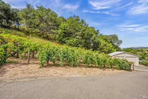 1389 Canyon Road Geyserville CA 95441