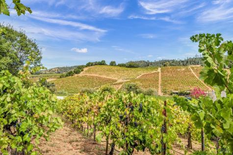 1389 Canyon Road Geyserville CA 95441