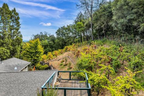 1389 Canyon Road Geyserville CA 95441