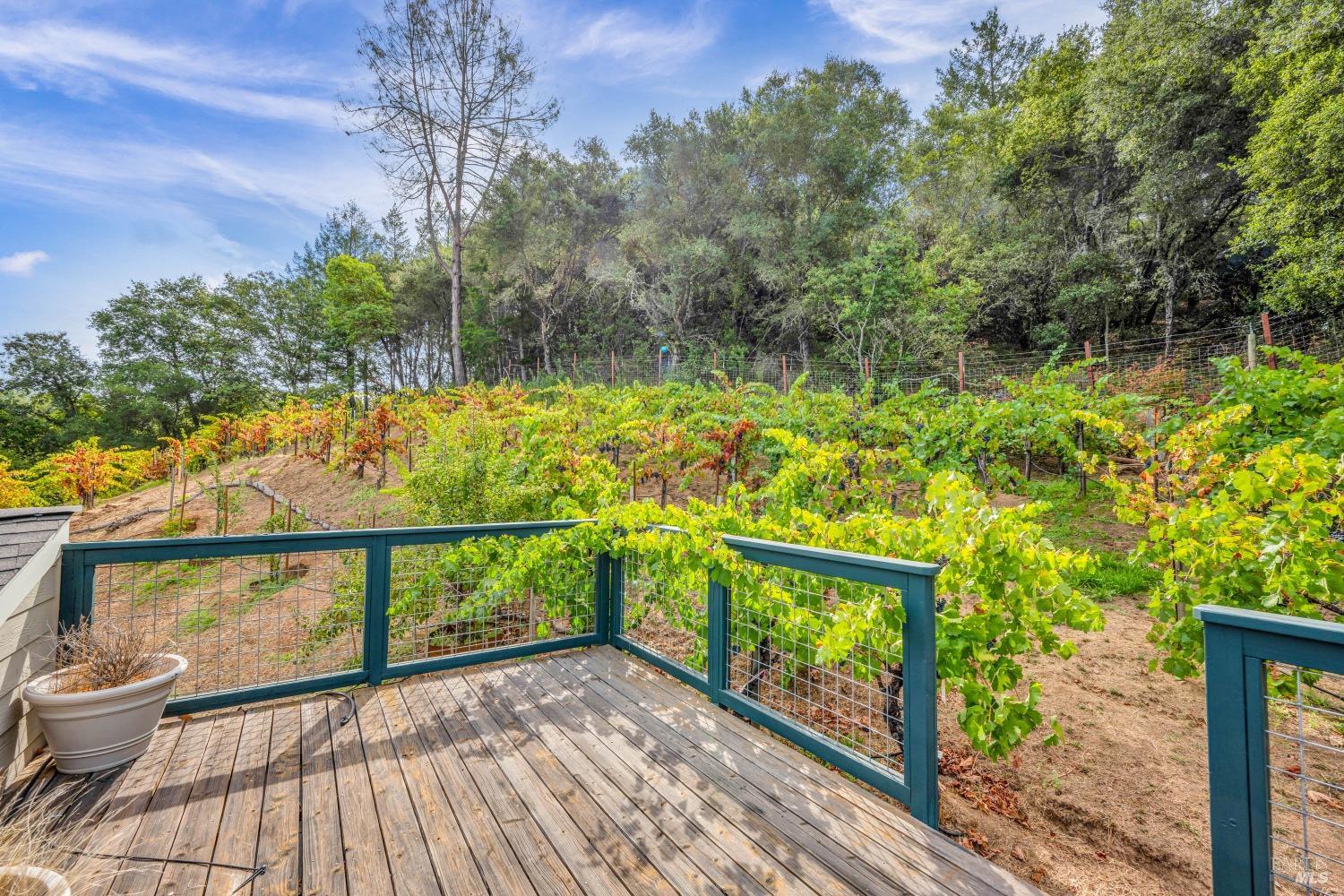 1389 Canyon Road Geyserville CA 95441