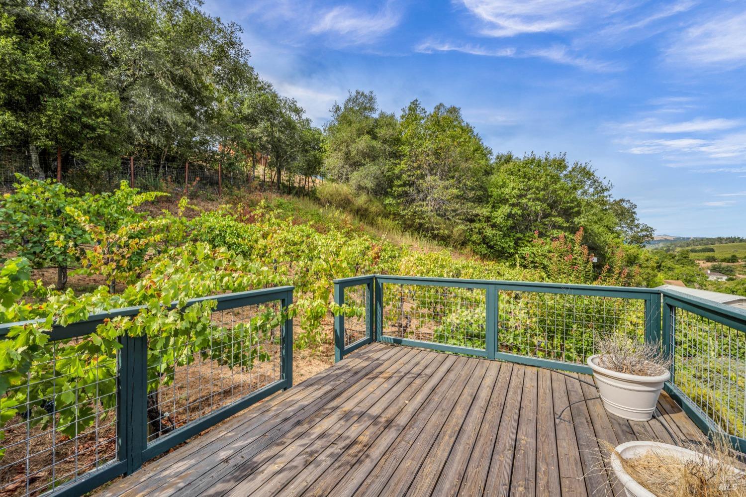 1389 Canyon Road Geyserville CA 95441