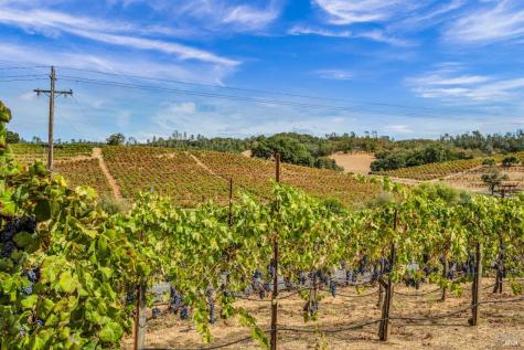 1389 Canyon Road Geyserville CA 95441