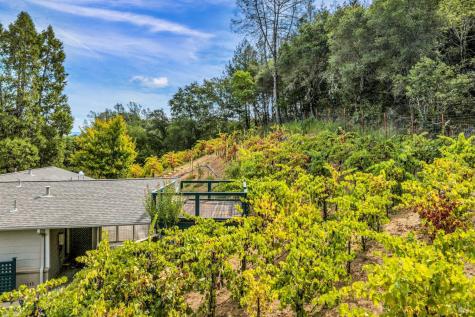 1389 Canyon Road Geyserville CA 95441
