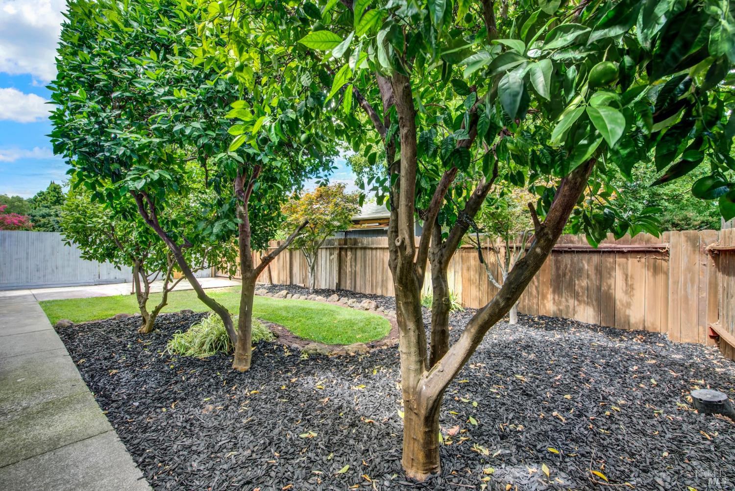 603 Via Palo Linda Fairfield CA 94534