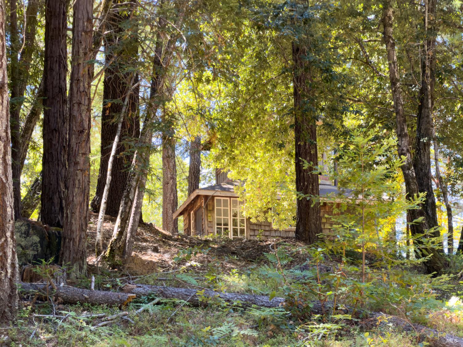 33790 Annapolis Road Annapolis CA 95412