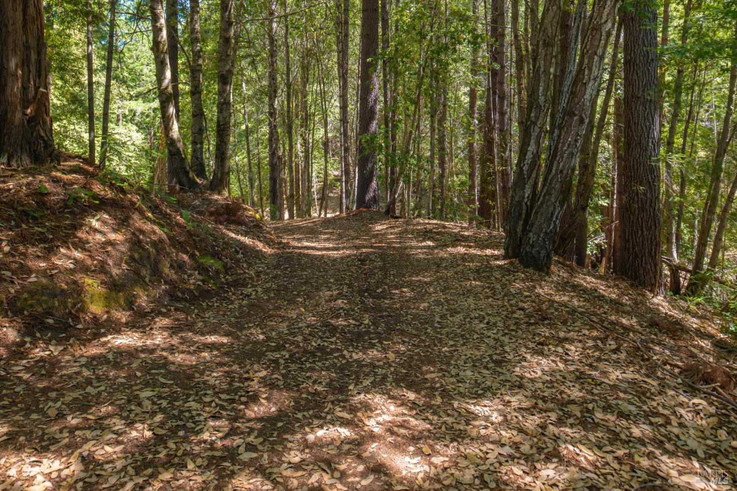 33790 Annapolis Road Annapolis CA 95412