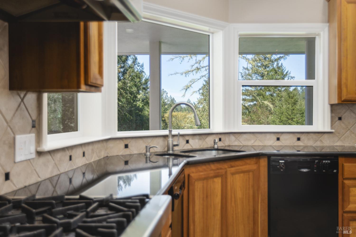 8930 Highway 116 Forestville CA 95436