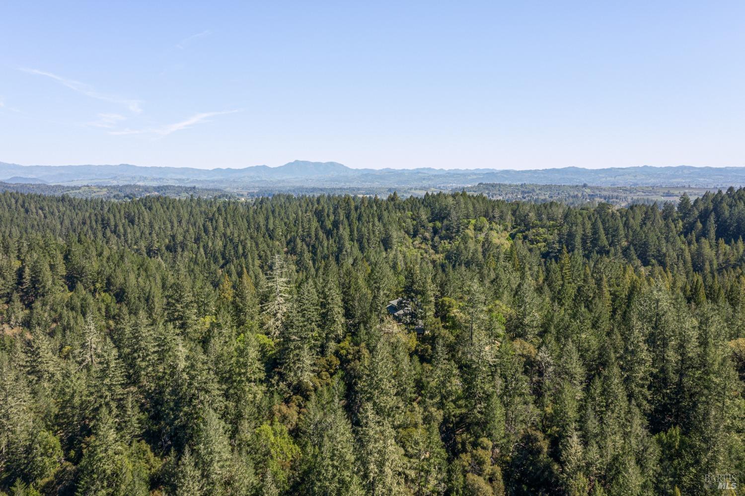 8930 Highway 116 Forestville CA 95436