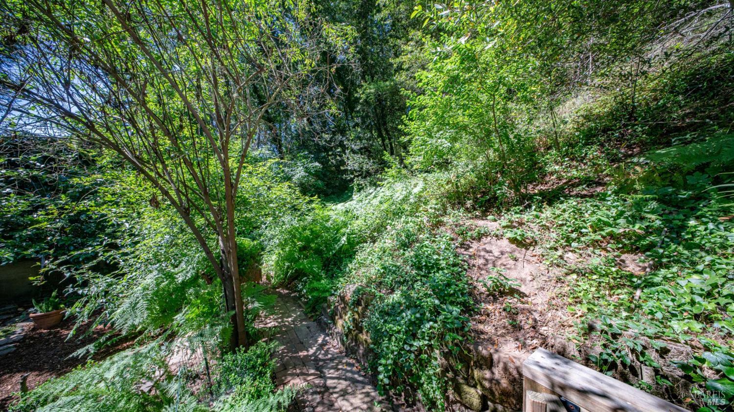 185 Tamal Road Forest Knolls CA 94933