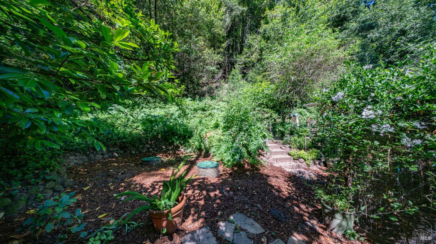 185 Tamal Road Forest Knolls CA 94933