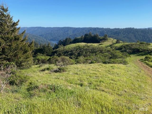 185 Tamal Road Forest Knolls CA 94933