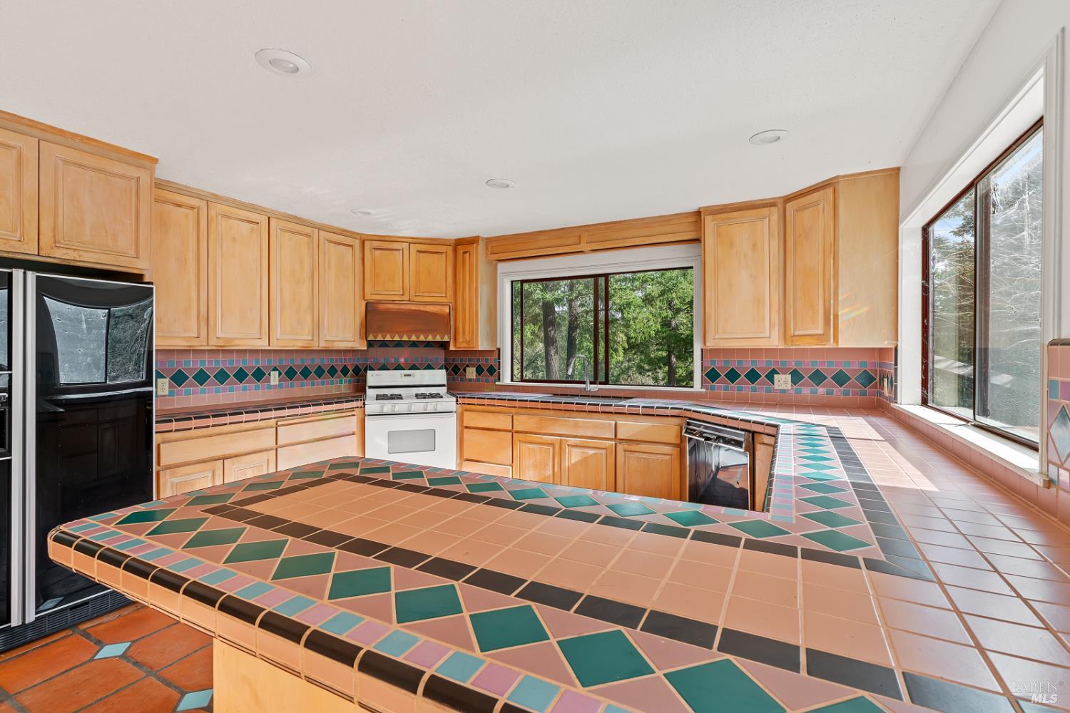 480 Pearl Street Cazadero CA 95421