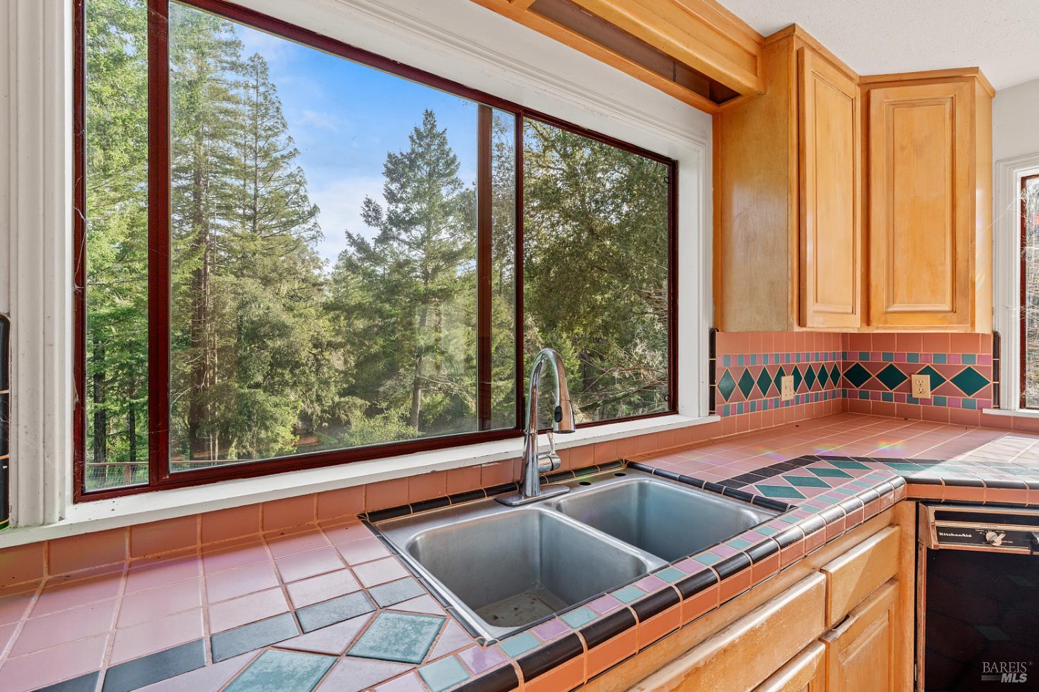 480 Pearl Street Cazadero CA 95421