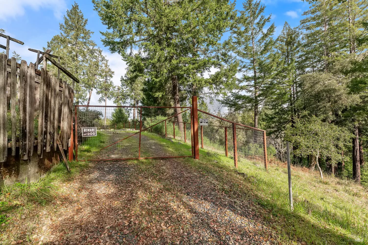 480 Pearl Street Cazadero CA 95421