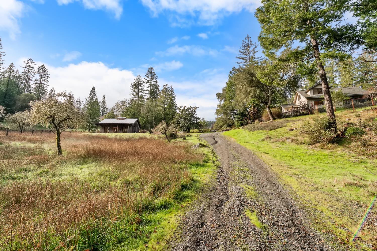 480 Pearl Street Cazadero CA 95421