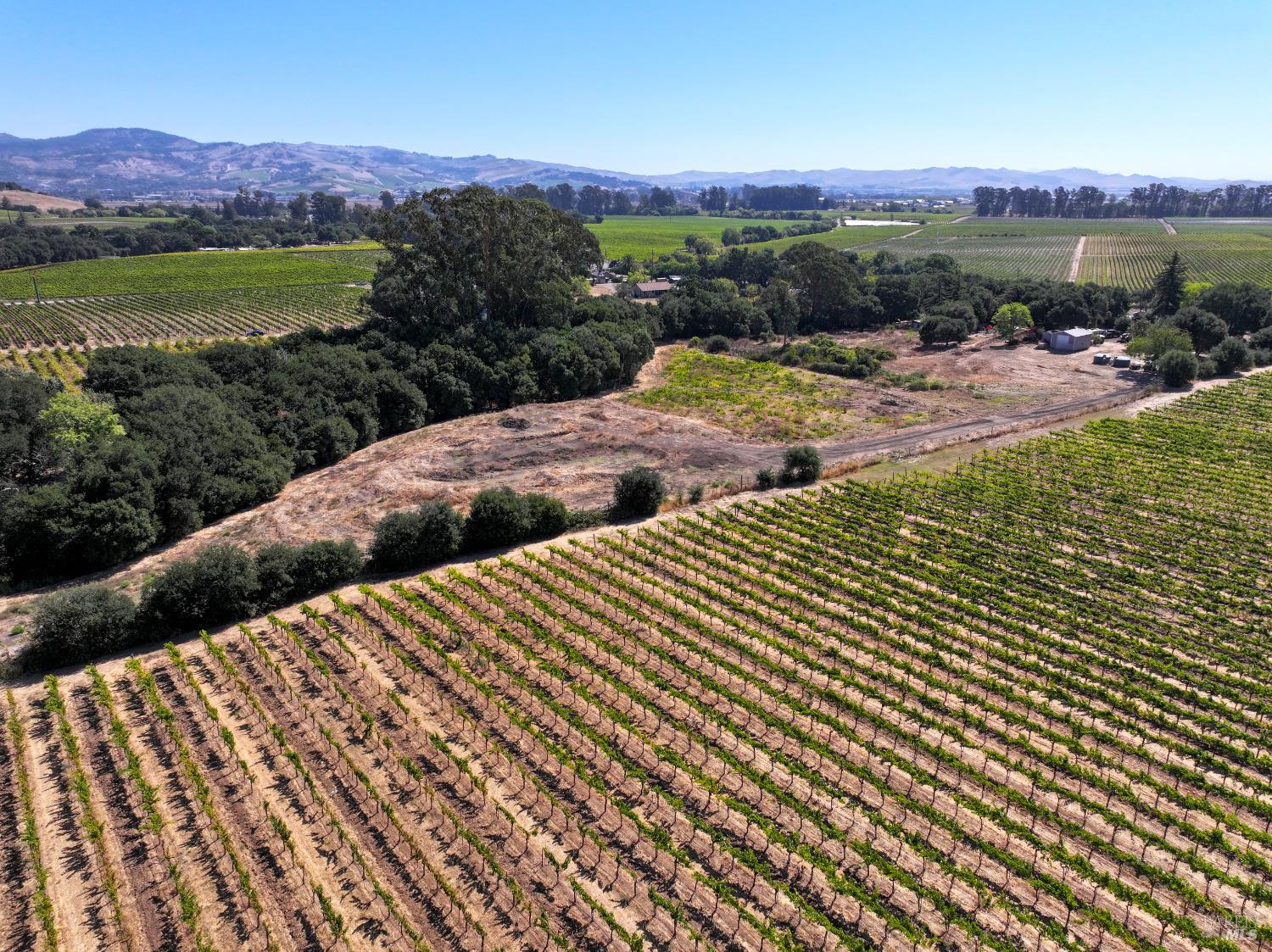 3316 Sonoma Highway Napa CA 94559
