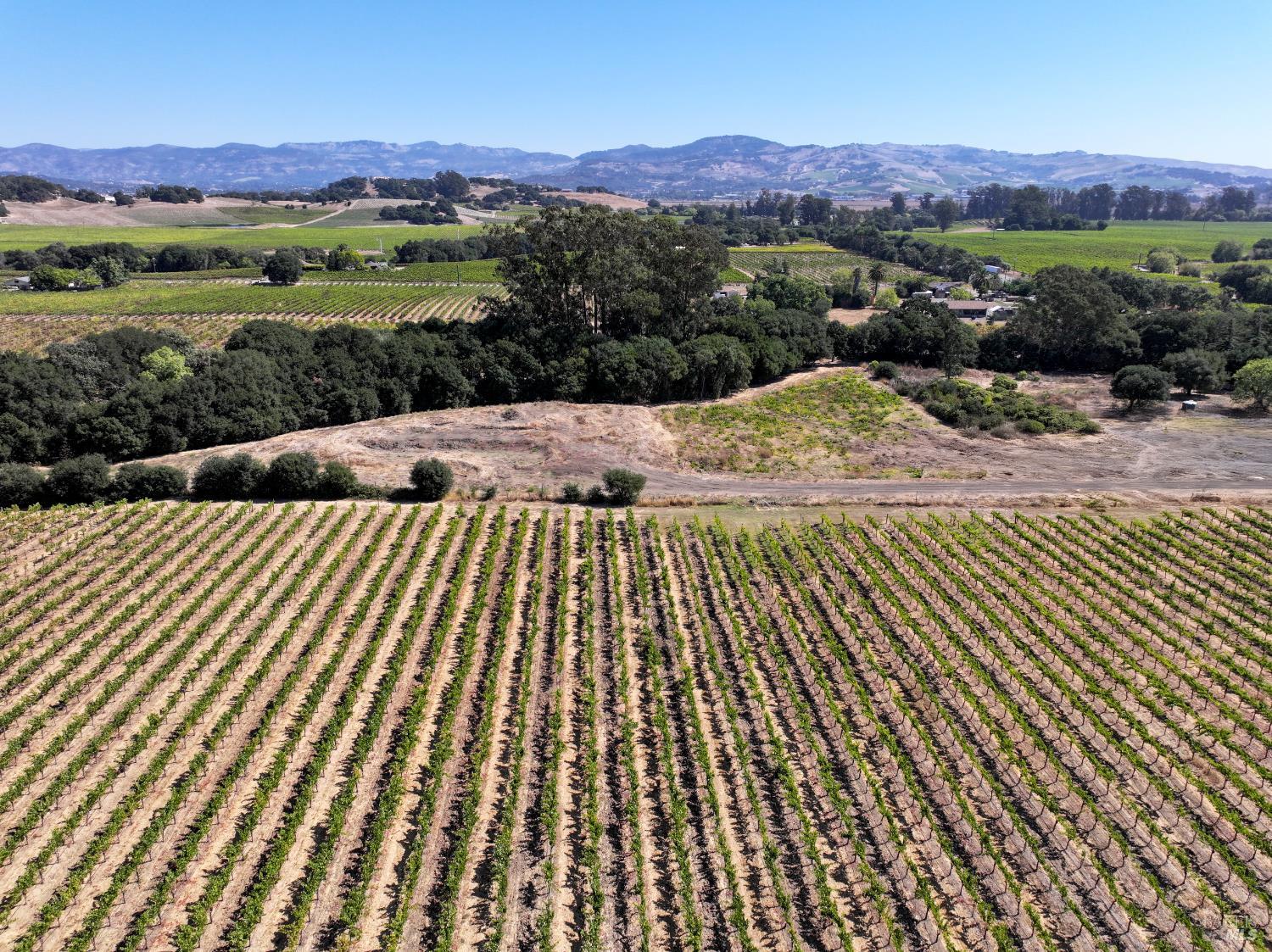 3316 Sonoma Highway Napa CA 94559