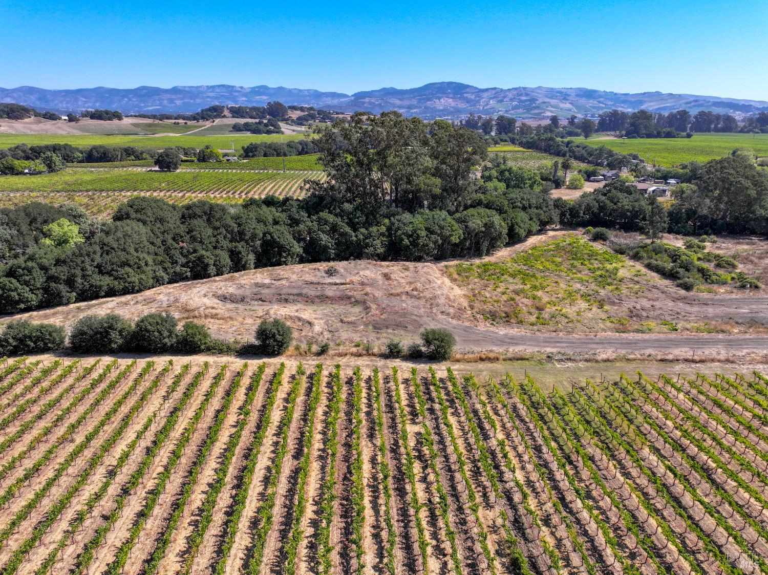 3316 Sonoma Highway Napa CA 94559